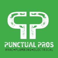 Punctual Pros logo - Similar company to Punctual