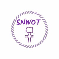 SNWOT - South West/North West Women's Task Force logo - Similar company to Dynamic Global Governance Group-Dg3