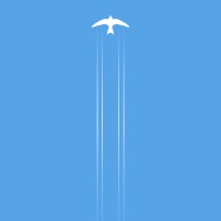 Swift Travel Consultancy logo - Similar company to Advanced 3D Laser Solutions Group
