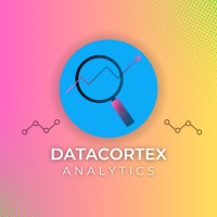 DataCortex Analytics logo - Similar company to Consulting Crew
