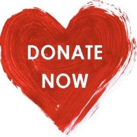 Donate now logo - Similar company to Chip India