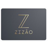 Zizão Participações logo - Similar company to Gb 55 Empreendimentos