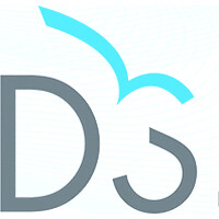 Direct Solutions logo - Similar company to Global It Company