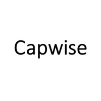 Capwise | Kun taloudella on väliä logo - Similar company to Happi Partners
