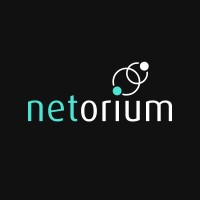 netorium AG logo - Similar company to Obviousfuture Gmbh