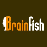 Brainfish Werving & Selectie logo - Similar company to Easyvid