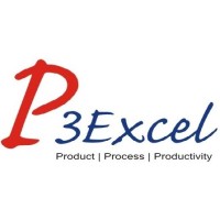 P3excel Sourcing & Quality Pvt. Ltd. logo - Similar company to India Sourcing Network