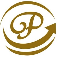 Palvit Gold Finance logo - Similar company to Finance Optimize