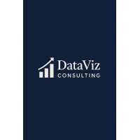 Data Viz Consulting logo - Similar company to Socialviz