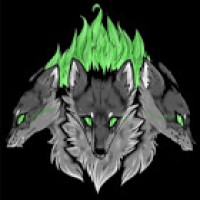 Lykos Saarlooswolfdogs | Canine Coaching Services