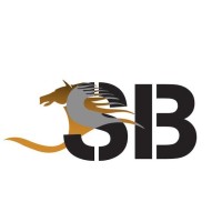 Belhasa Sports & No Limits Sports logo - Similar company to Desarrollos Conecto