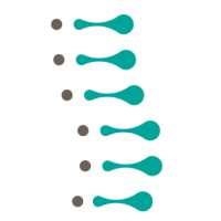 Journal of Spine Practice logo - Similar company to Distinguished Experts - Dexpco