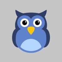 Scale Owl Digital Marketing logo - Similar company to Digipro Media, Llc