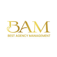 Best Agency Management Sagl (BAM) logo - Similar company to Monzeglio & Rapacchia Sa