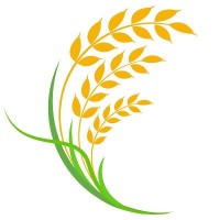 Maqsood Ki Hatti Limited Company logo - Similar company to Netzero A Carnrite Company