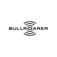 Bullroarer Networks logo - Similar company to Dollop Digital