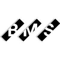 Brüske Meier Seidemann Marketing GbR logo - Similar company to Anymedia