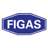 FIGAS Autogewerbe-Treuhand der Schweiz AG logo - Similar company to Obt Ag