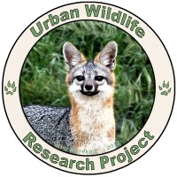 Urban Wildlife Research Project logo - Similar company to Urban Wildlife Information Network