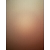 section backup logo - Similar company to Baco