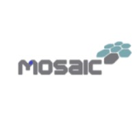Mosaic do Brasil logo - Similar company to Mega Do Brasil