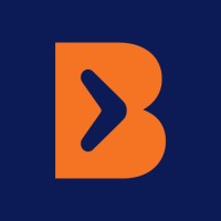 Boomerang BPO logo - Similar company to Call Lab Bpo
