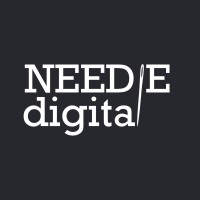 Needle Digital logo - Similar company to Pagr