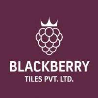 Blackberry Tiles Pvt. Ltd. logo - Similar company to Larson Ceramic