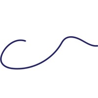 Carrie Taylor Altamirano logo - Similar company to Cisneros Design