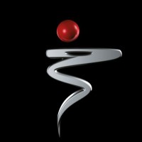 Giorgio Risi S.r.l. logo - Similar company to Egeo Digital Design Studio