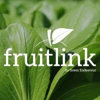 Fruitlink logo - Similar company to Morco Fresh