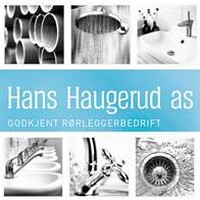 Hans Haugerud As