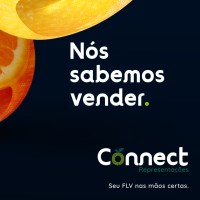 Connect Representações Comerciais LTDA logo - Similar company to Bratexco Representações E Serviços Em Energia