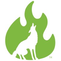Primitive Pursuits logo - Similar company to Lasting Adventures