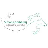 OSTEOPATHE EQUIN / OSTEOPATHE CANIN / OSTEOPATHE POUR ANIMAUX / TOULOUSE / OCCITANIE logo - Similar company to Edoa - Equithérapie Et Comportementalisme Équin