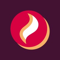 burningsuit logo - Similar company to Techvariance