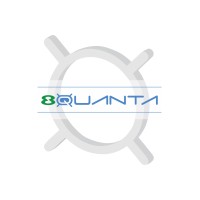 8QUANTA logo - Similar company to Abaci