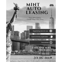 Mint Auto Leasing logo - Similar company to Flexauto