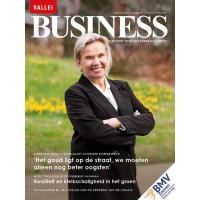 Vallei Business® logo - Similar company to Ict Valley