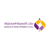 BDL logo - Similar company to Isr Services