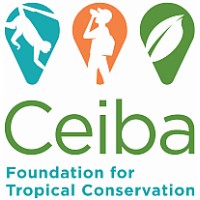 Ceiba Foundation for Tropical Conservation logo - Similar company to Esc2026 | European Seismological Commission 40Th General Assembly
