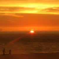 Florida Shores Rentals