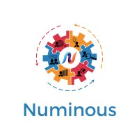 Numinous Ventures logo - Similar company to Consciousness Hacking