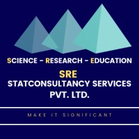SRE Services logo - Similar company to Sas Consulting Group Llc