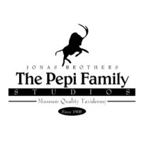 Jonas Brothers Studios of New York logo - Similar company to Jonas Brothers Inc