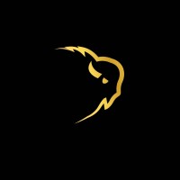 BISON Restoration Services logo - Similar company to Reset Restoration Services