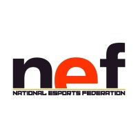 National Esports Federation logo - Similar company to Digital Pitcher Networks Pvt Ltd