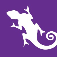 Chameleon Software logo - Similar company to Hlp