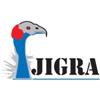 Jigra International Business PLC logo - Similar company to Toreans Engineering Plc