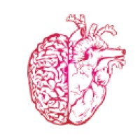 Abraham Goitom - Health & Performance Coaching logo - Similar company to Omsi 24